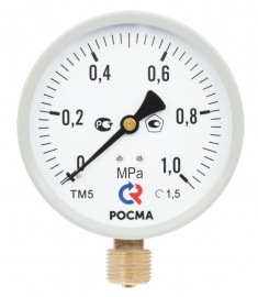 РОСМА ТМ-510Р.00 (0-1,0MPa)M20x1,5.1,5.М2 Манометр радиальный 0-10 бар, корпус 100мм, М20х1,5 (метрическая), кл.1,5, модель 2