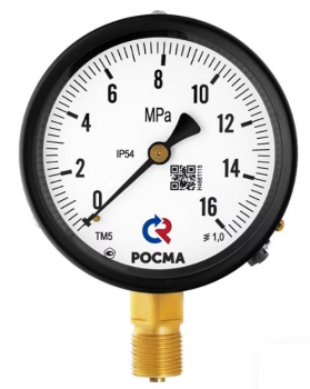 РОСМА ТМ-510Р.00(0-0,6MPa)G1/2.1,0.IP54 Манометр с поверкой радиальный 0-0,6 МПа, корпус 100мм, 1/2